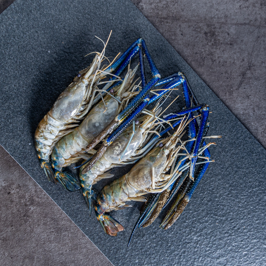 Giant Sea Prawn (4-5pcs) - 1kg (Frozen)