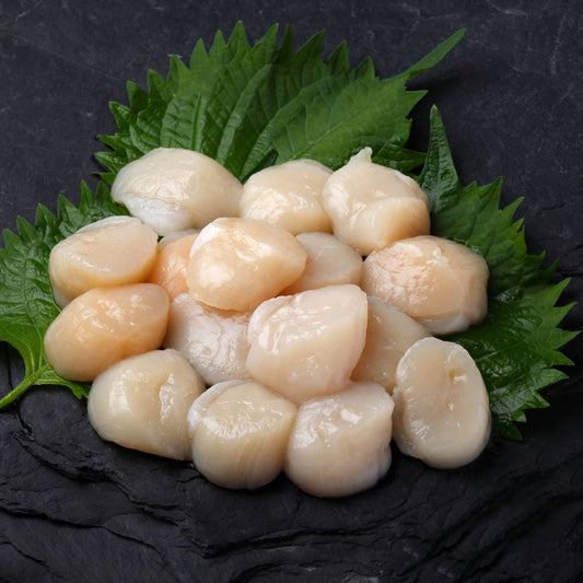 Scallops Hokkaido (Frozen) - 904g