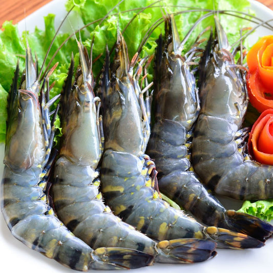 Malaysia Tiger Prawn HOSO 8/10 - 1kg