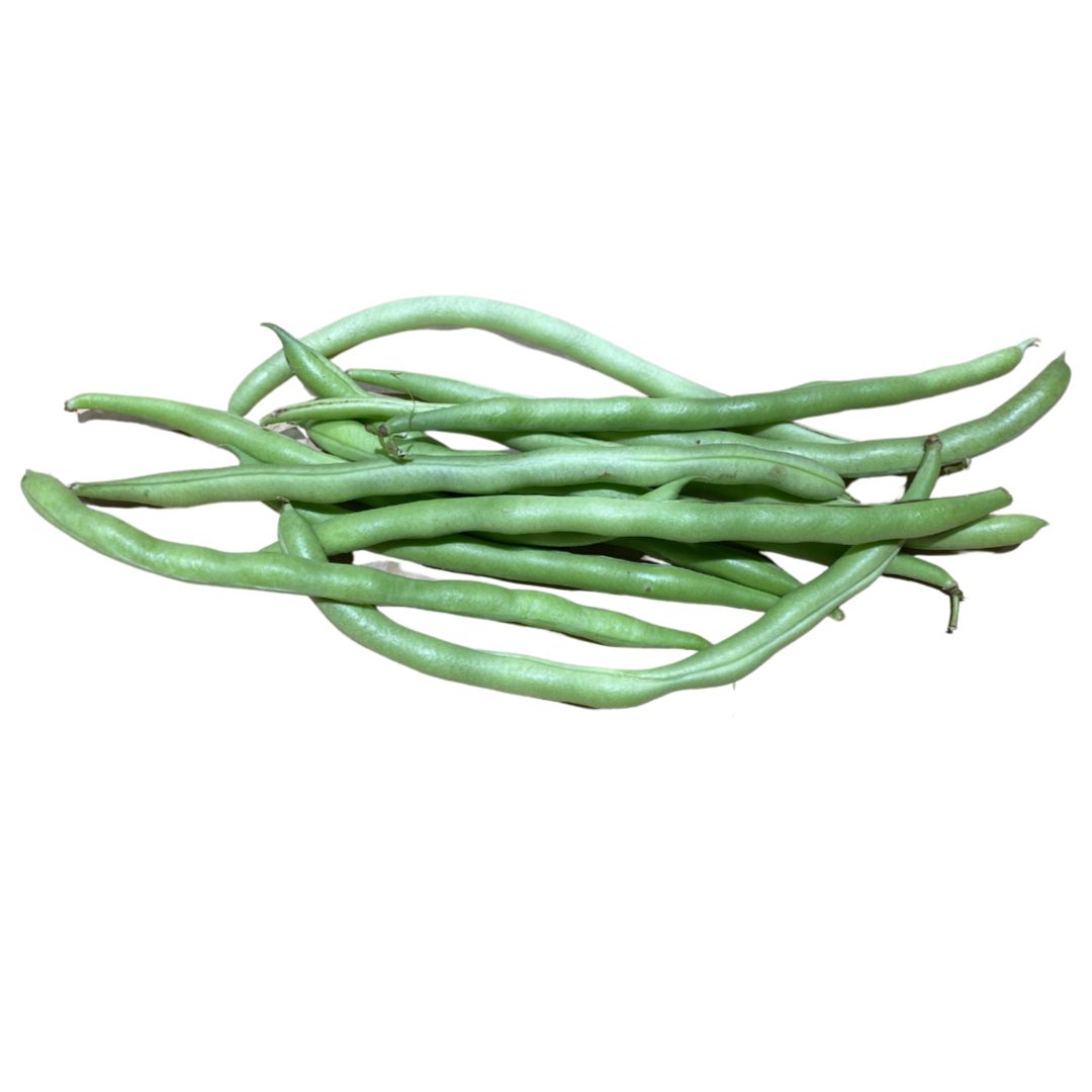 String Beans Family at Katherine Roosa blog