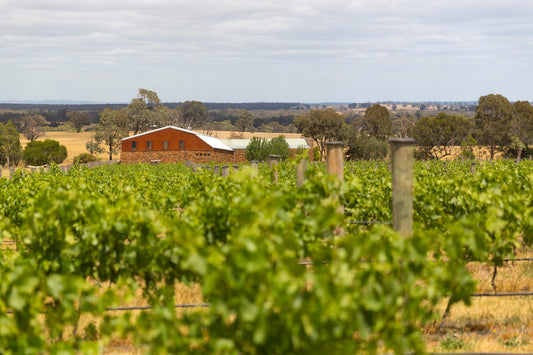 Heathcote II Shiraz 2004