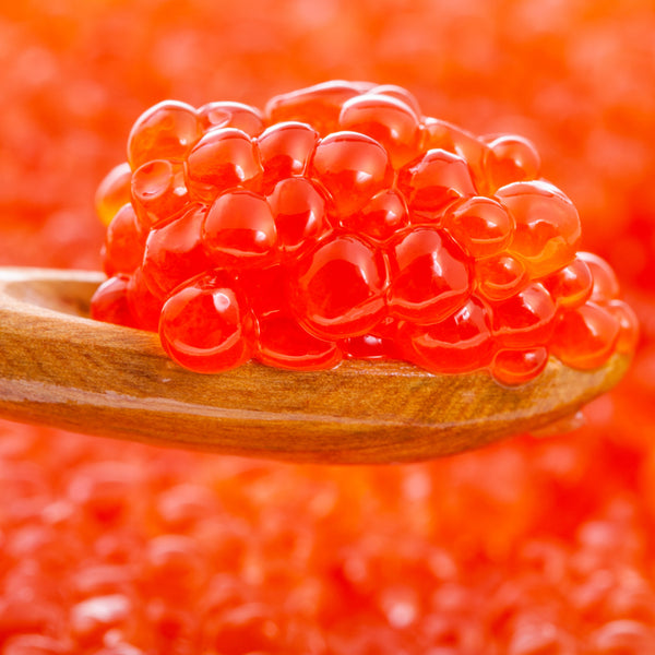 Jumbo Shoyu Ikura (Salmon Roe) -100g