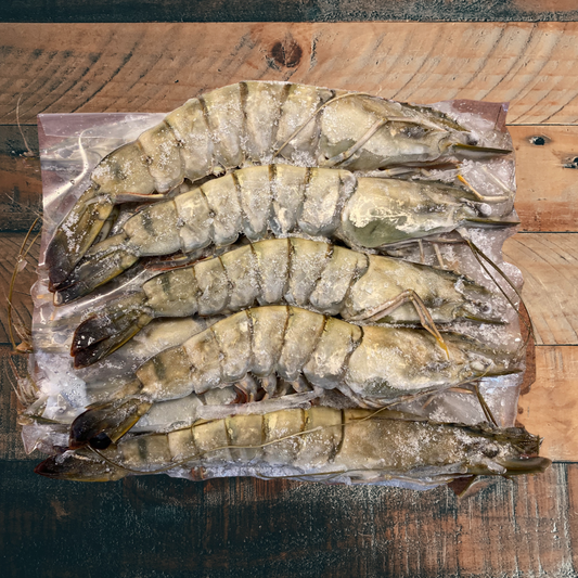 Malaysia Tiger Prawn HOSO 8/10 - 1kg